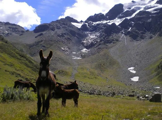 Apartamento Da Renza *